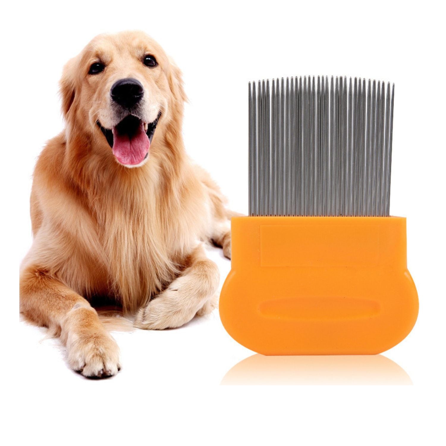 huisdier vlooienkam oranje handvat hond